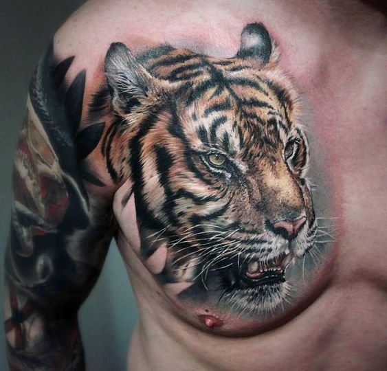 чоловіча татуювання тигра на грудях
