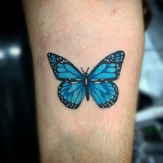 татуювання синього метелика на зап'ясті
